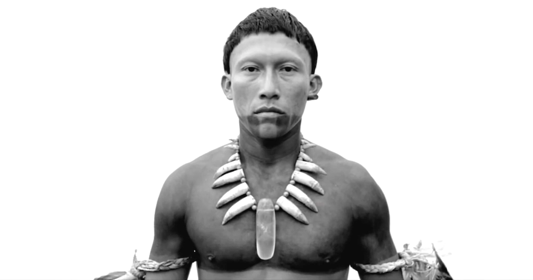 Embrace Of The Serpent (2015), Nilbio Torres as Young Karamakate