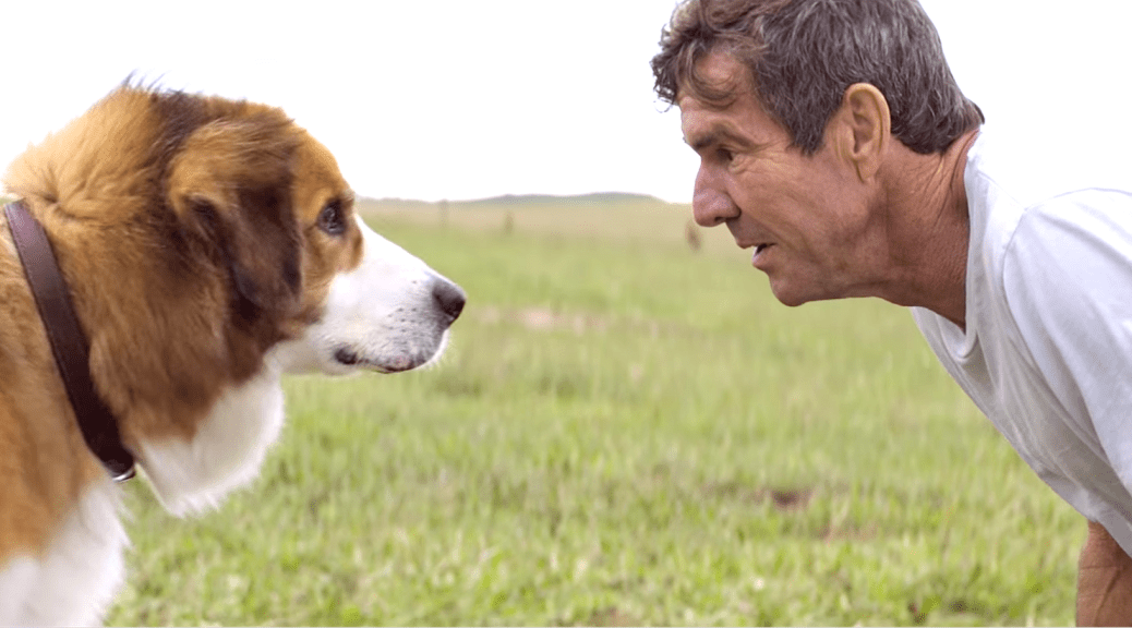 A Dog's Purpose (2017), Dennis Quaid