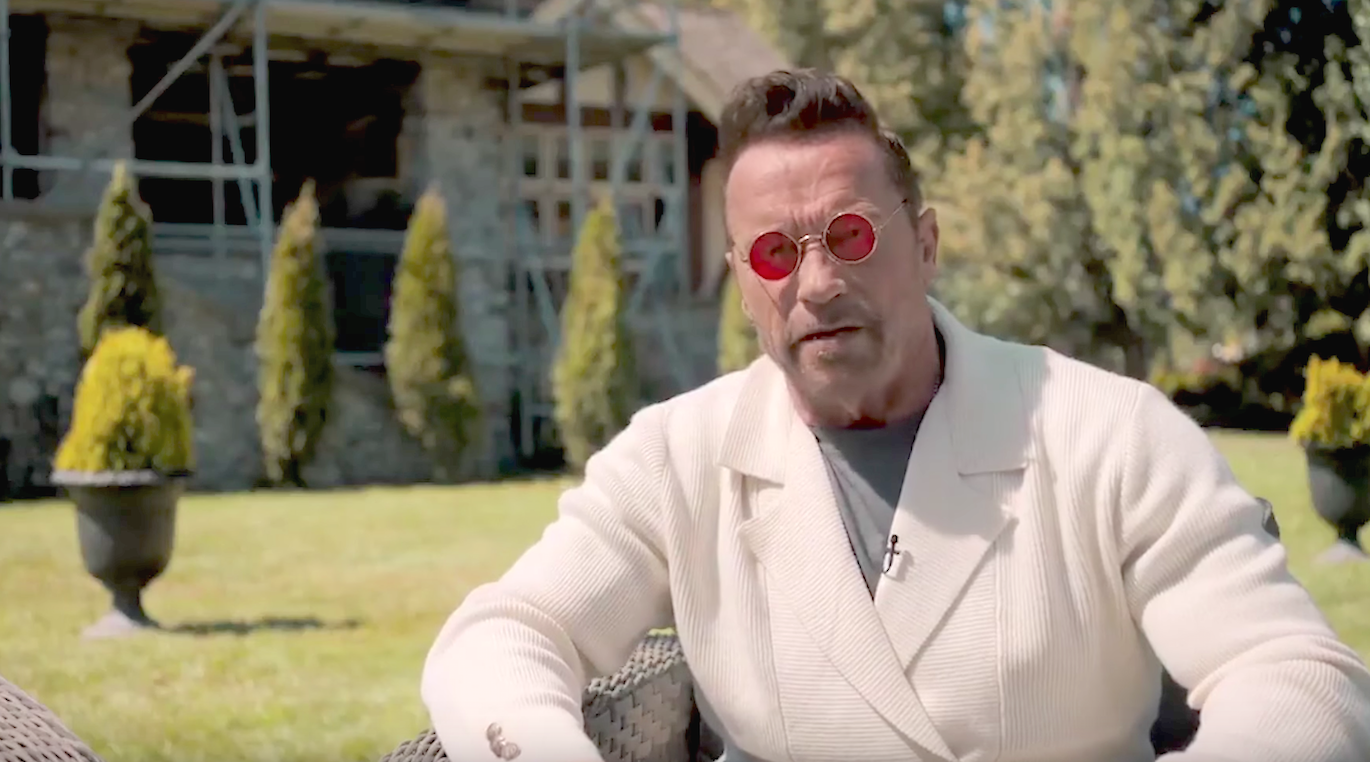 Killing Gunther (2017), Arnold Schwarzenegger.png