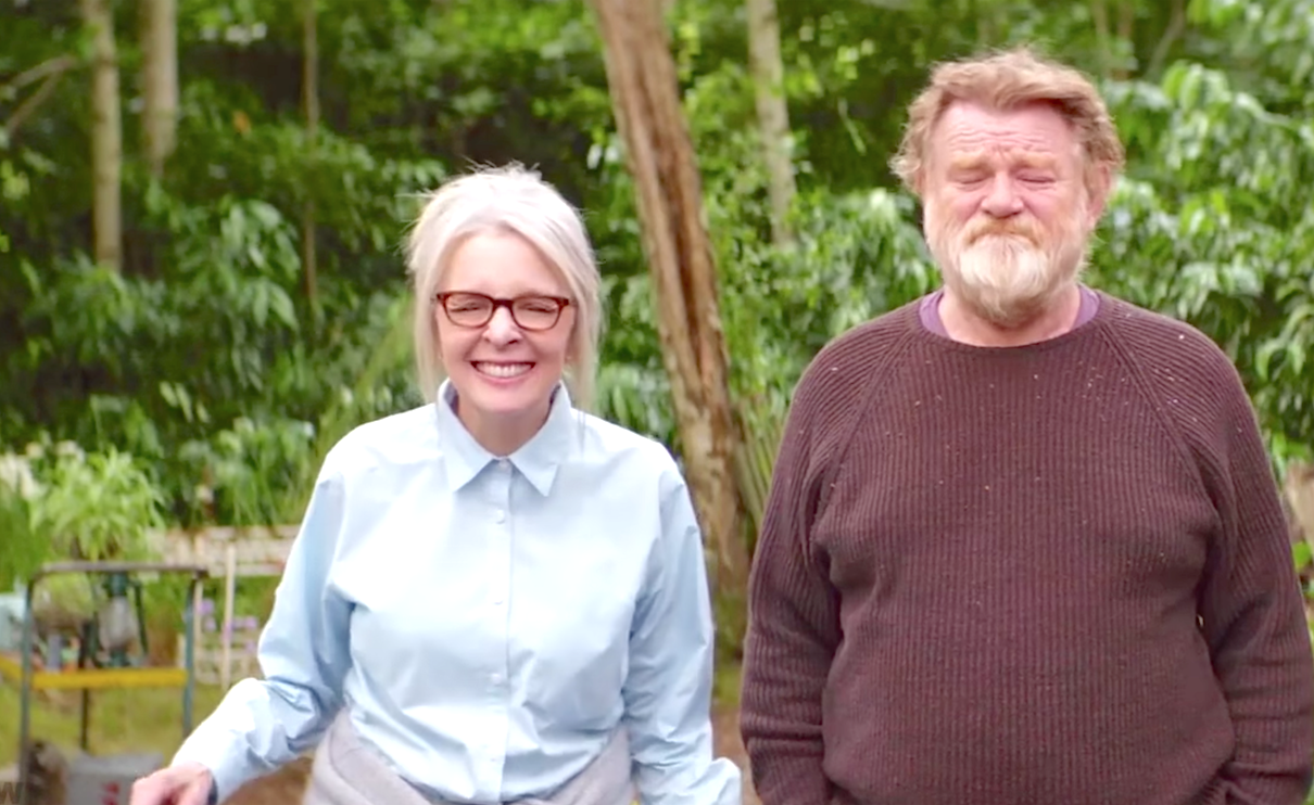 Hampstead (2017), Diane Keaton, Grendan Gleeson