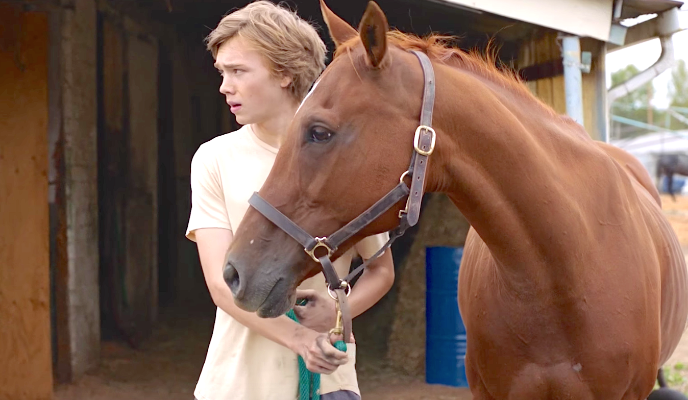 Lean On Pete (2017), Charlie Plummer