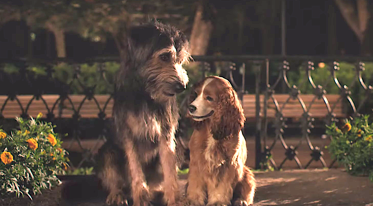 Lady And The Tramp (2019), Disney+, Walt Disney Studio