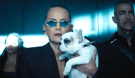 Nobody (2025), Sharon Stone, Universal Pictures