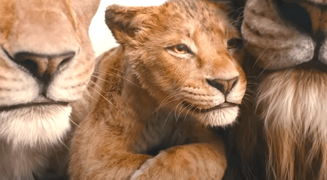 Mufasa - The Lion King (2024), Aaron Pierre (Mufasa Voice), Kelvin Harrison Jr. (Scar Voice), Walt Disney Studios